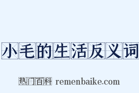 小毛的生活反义词是什么意思的图片